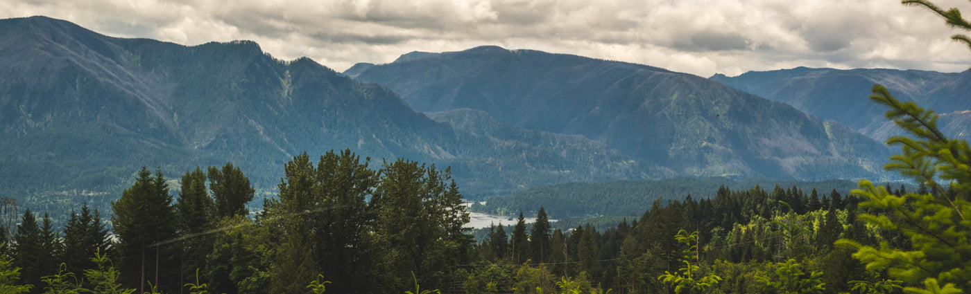 mountains and trees